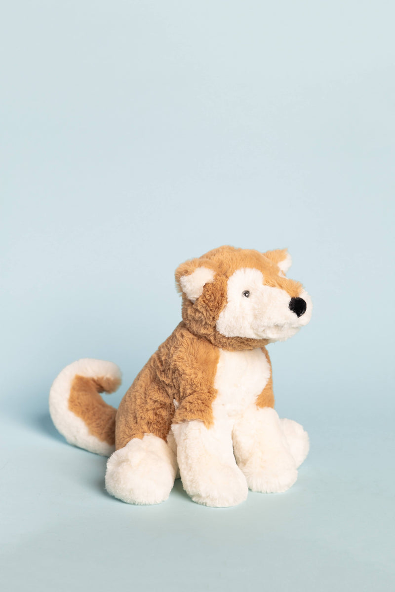 Milo Shiba Inu: Medium