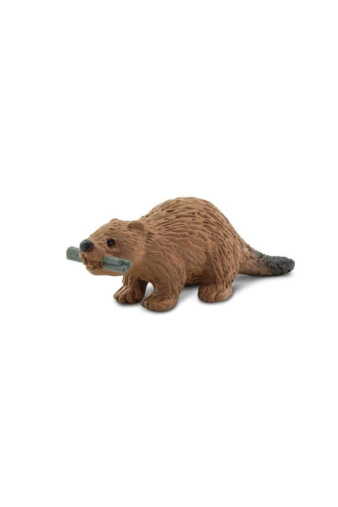 mini beaver