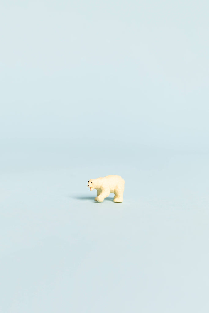 mini polar bear