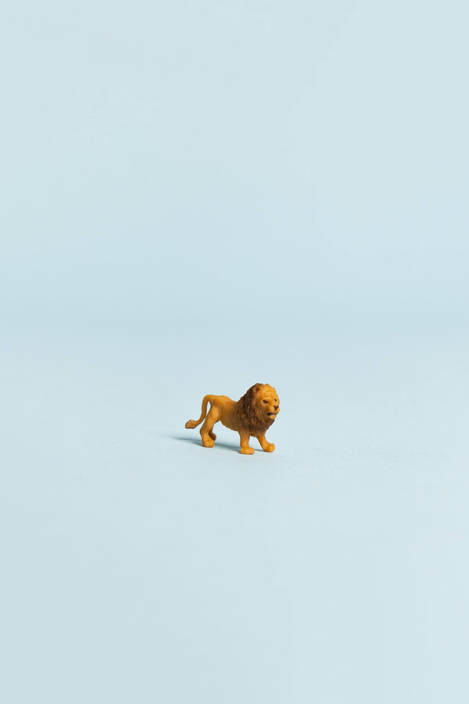 mini lion