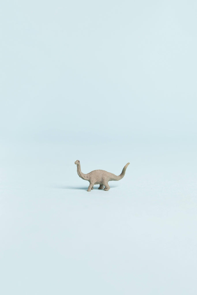 mini apatosaurus
