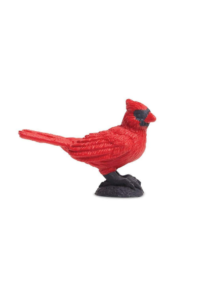 mini cardinal