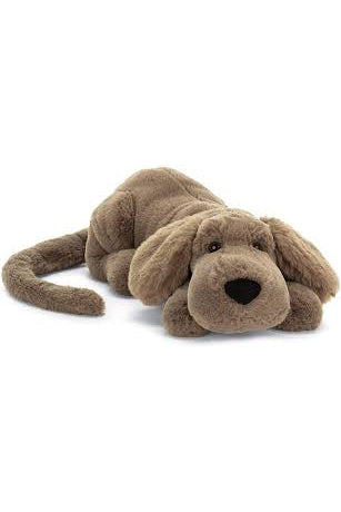 Brown puppy laying down