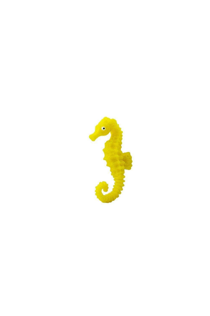 mini seahorse