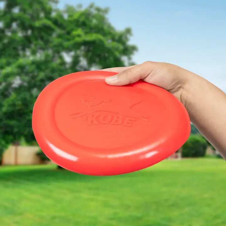 Bacon Scented Flying Disc - Blickenstaffs Toy Store