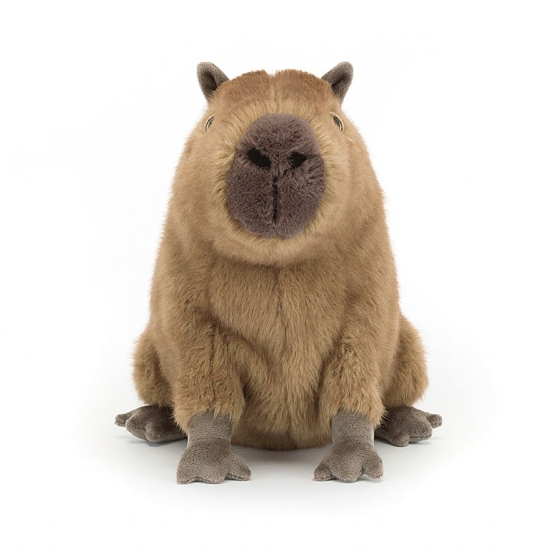 Clyde Capybara - Blickenstaffs Toy Store