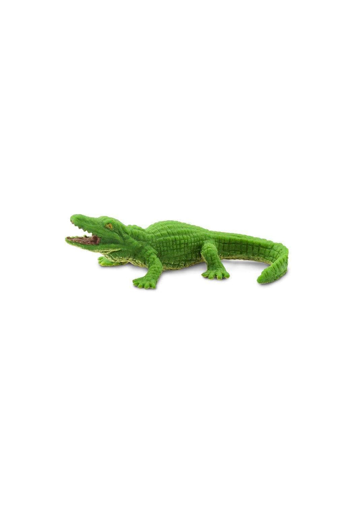 mini alligator
