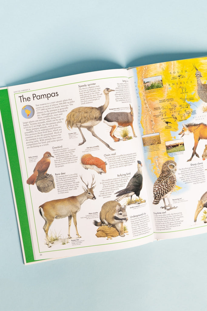 Animal Atlas - Blickenstaffs Toy Store