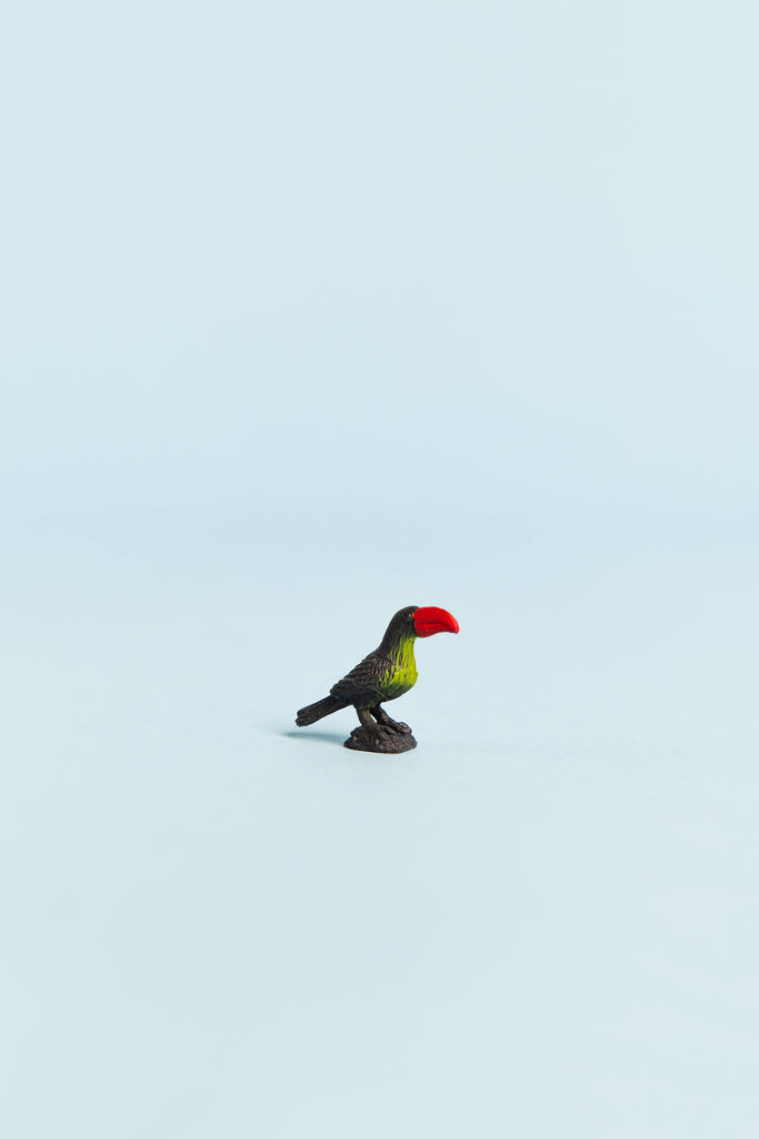 mini toucan