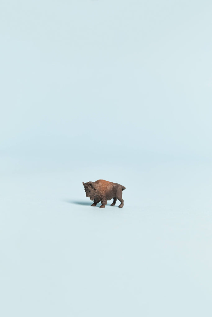 mini buffalo