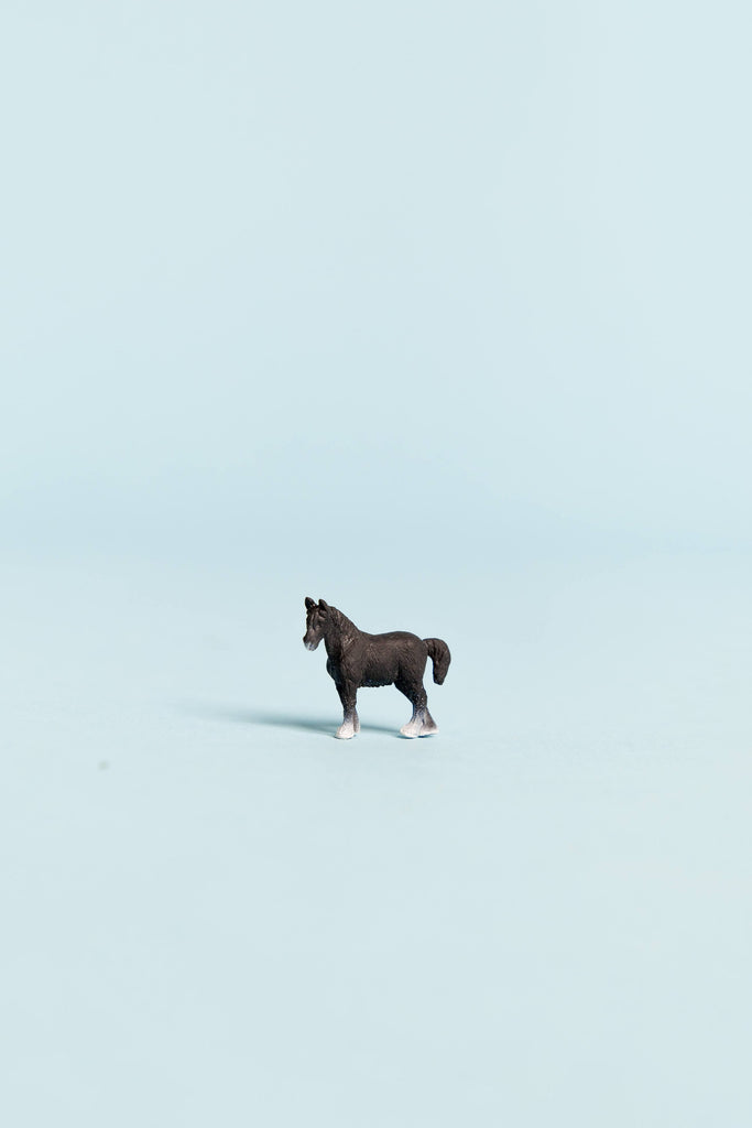 mini horse