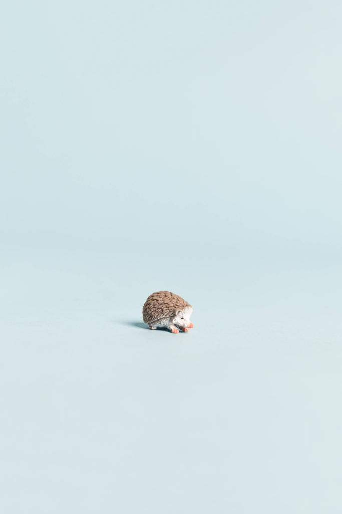mini hedgehog