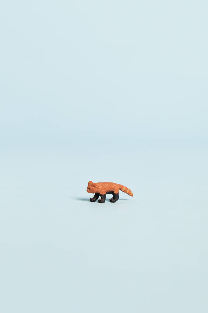 Mini red panda