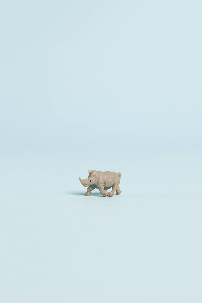 mini rhino