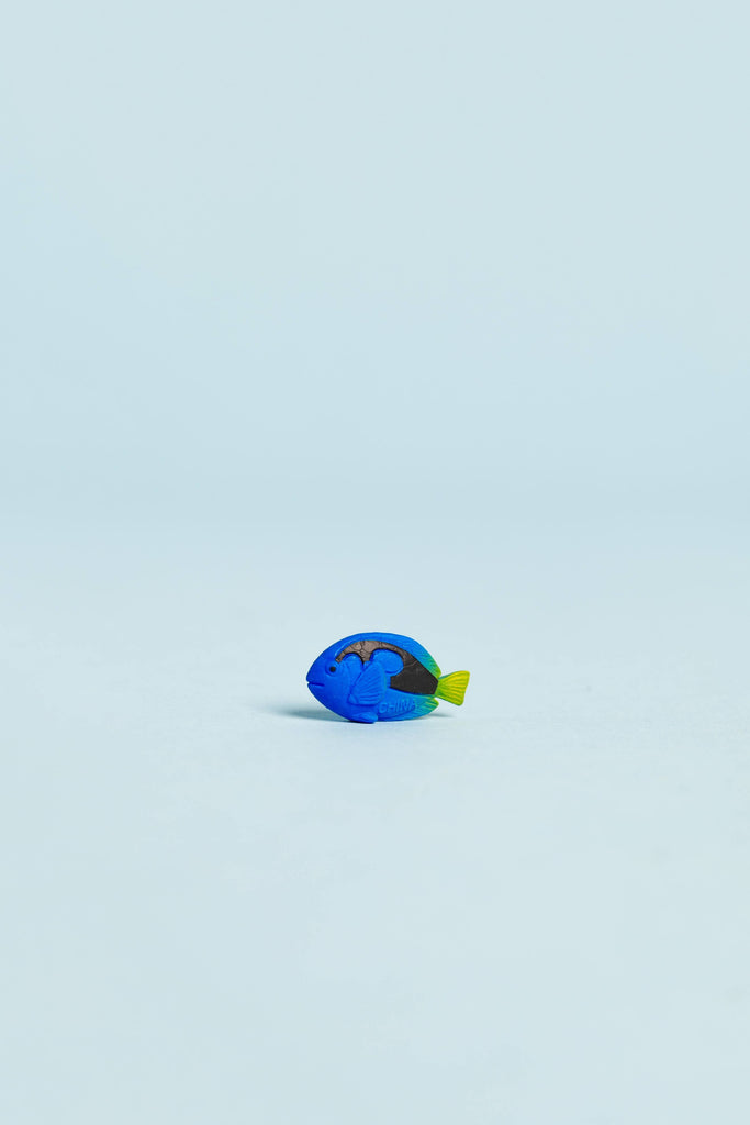 mini blue tang fish