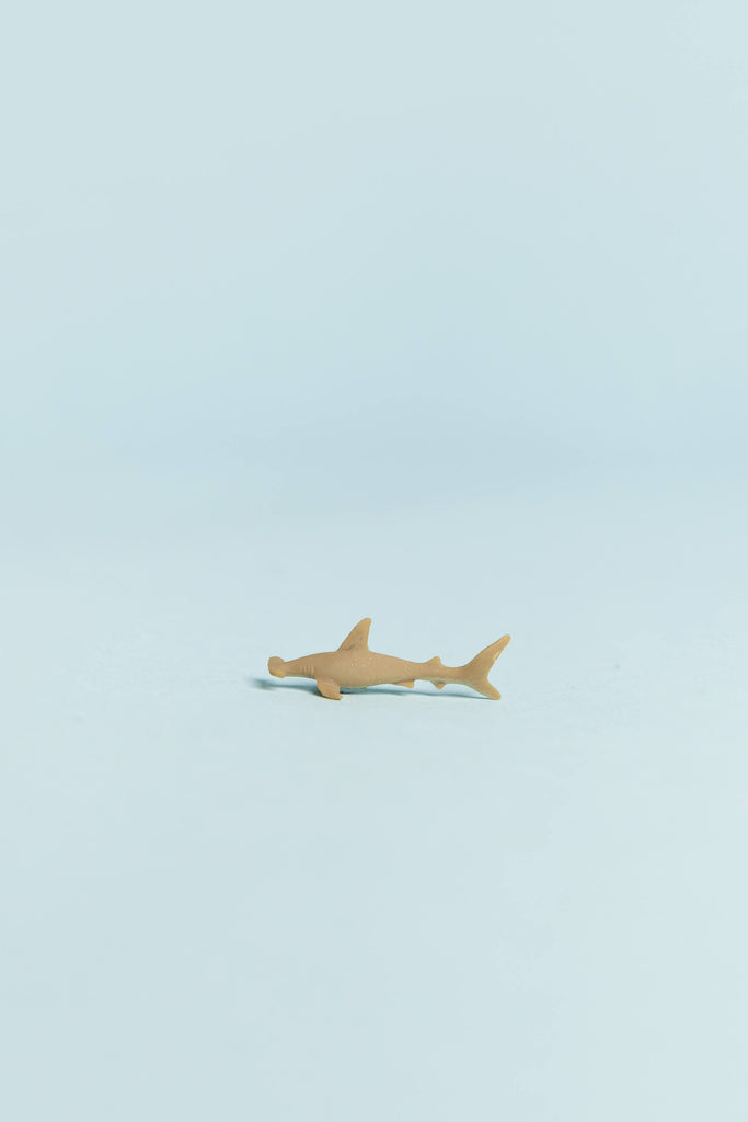 mini shark