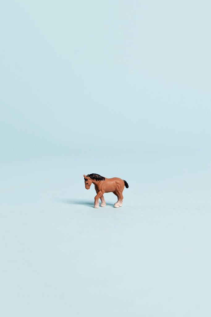 mini horse