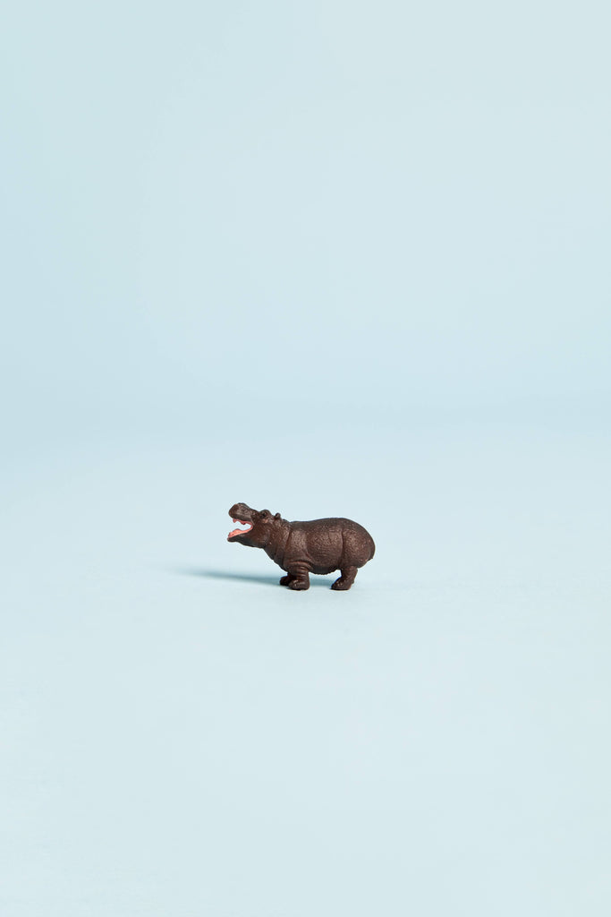 mini hippo