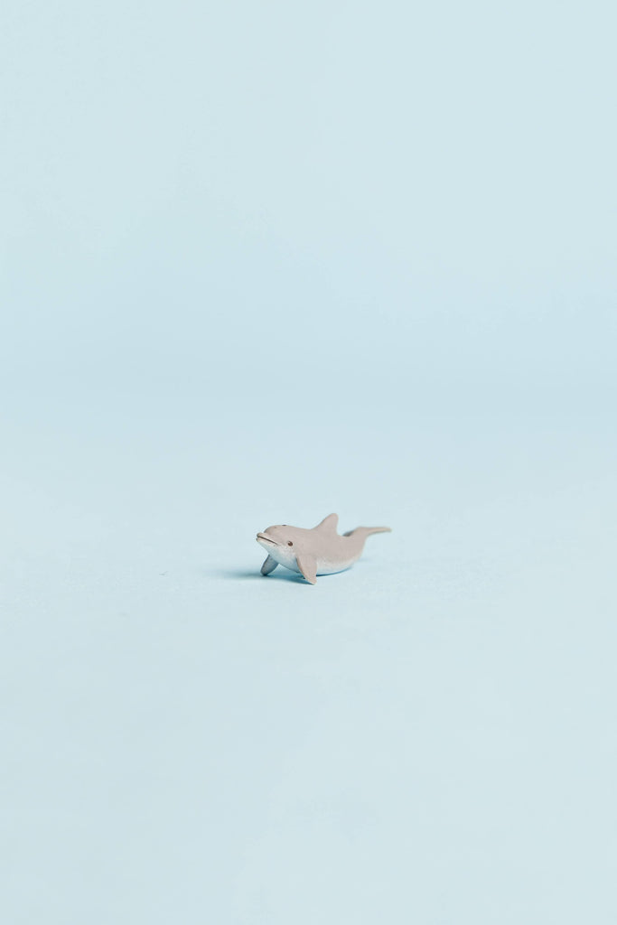 mini dolphin