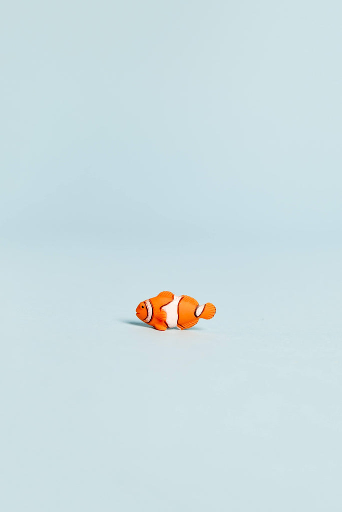 mini clownfish