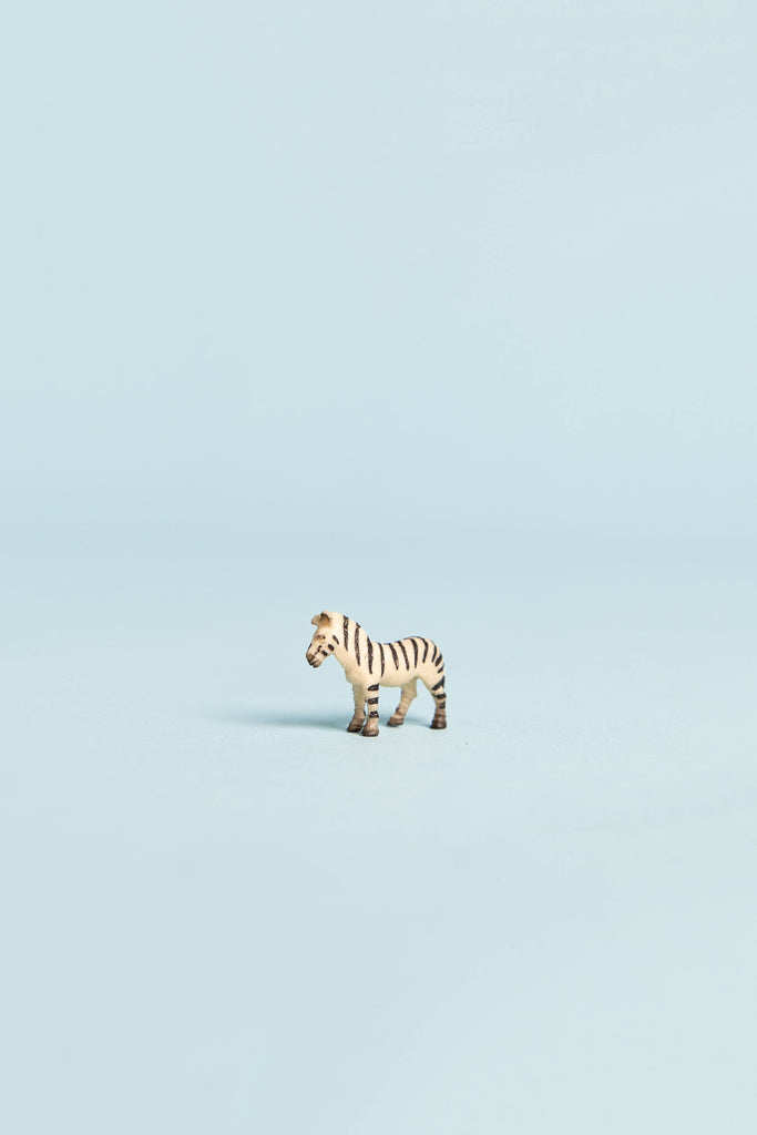 mini zebra