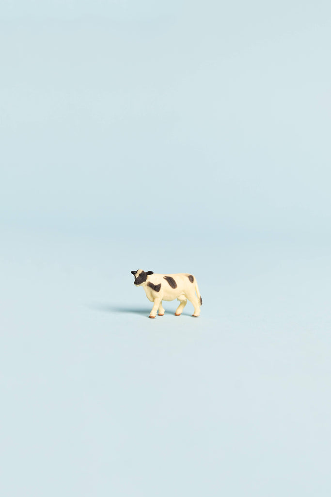 mini cow