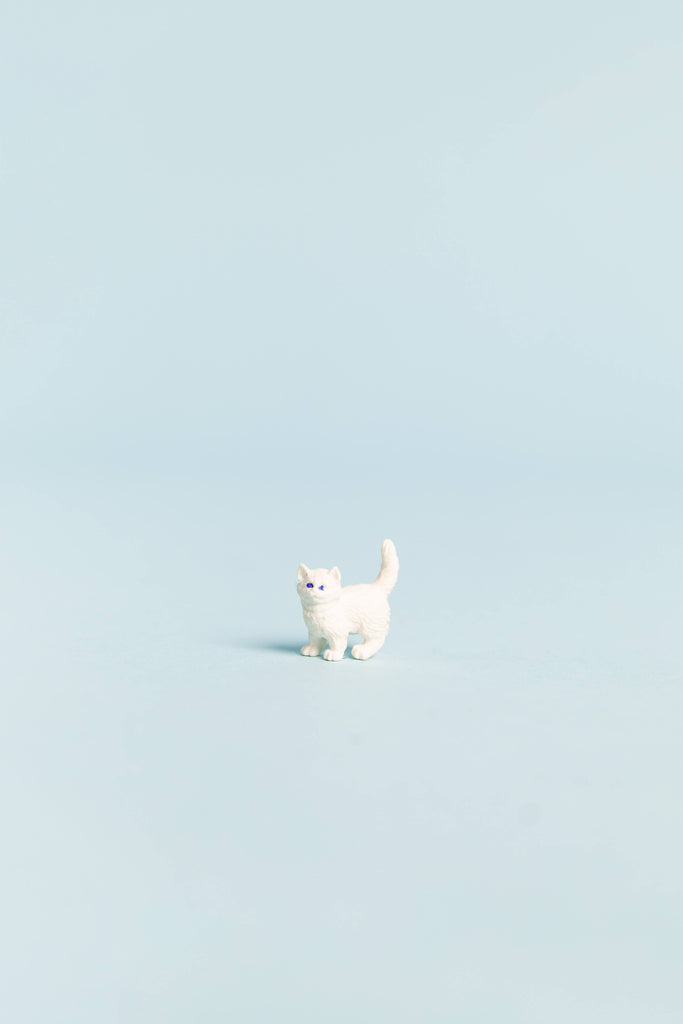 mini cat