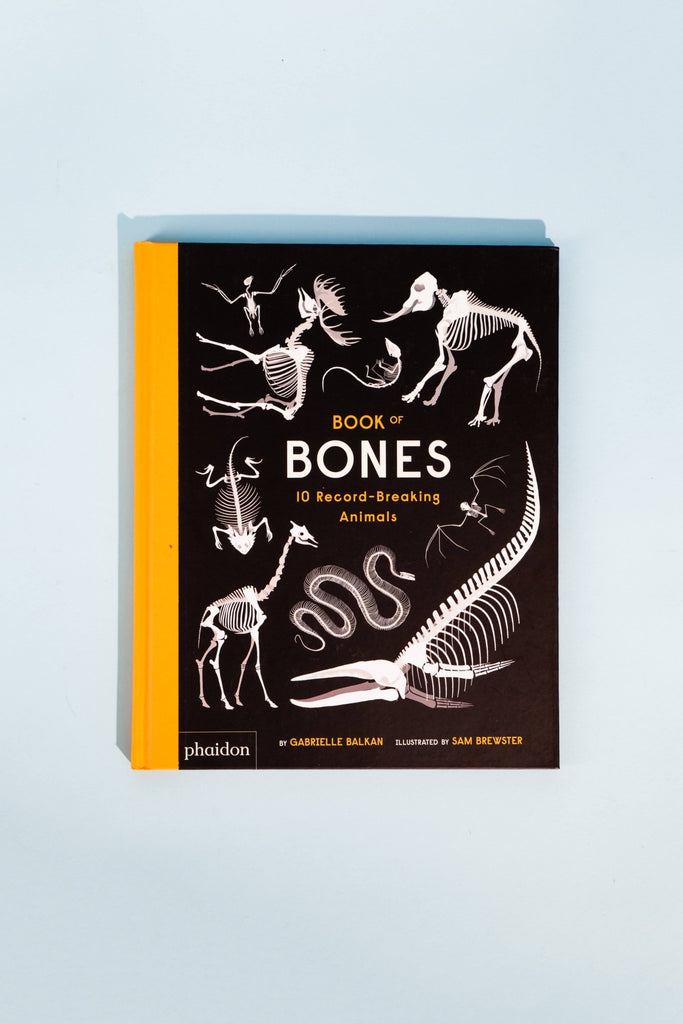 Book of Bones - Blickenstaffs Toy Store