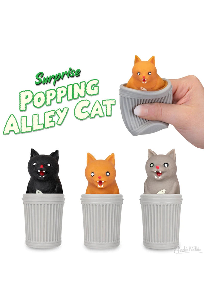 Surprise popping alley cat