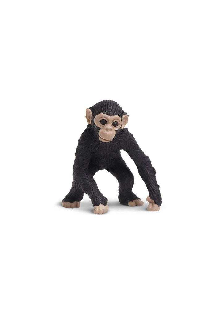 mini monkey