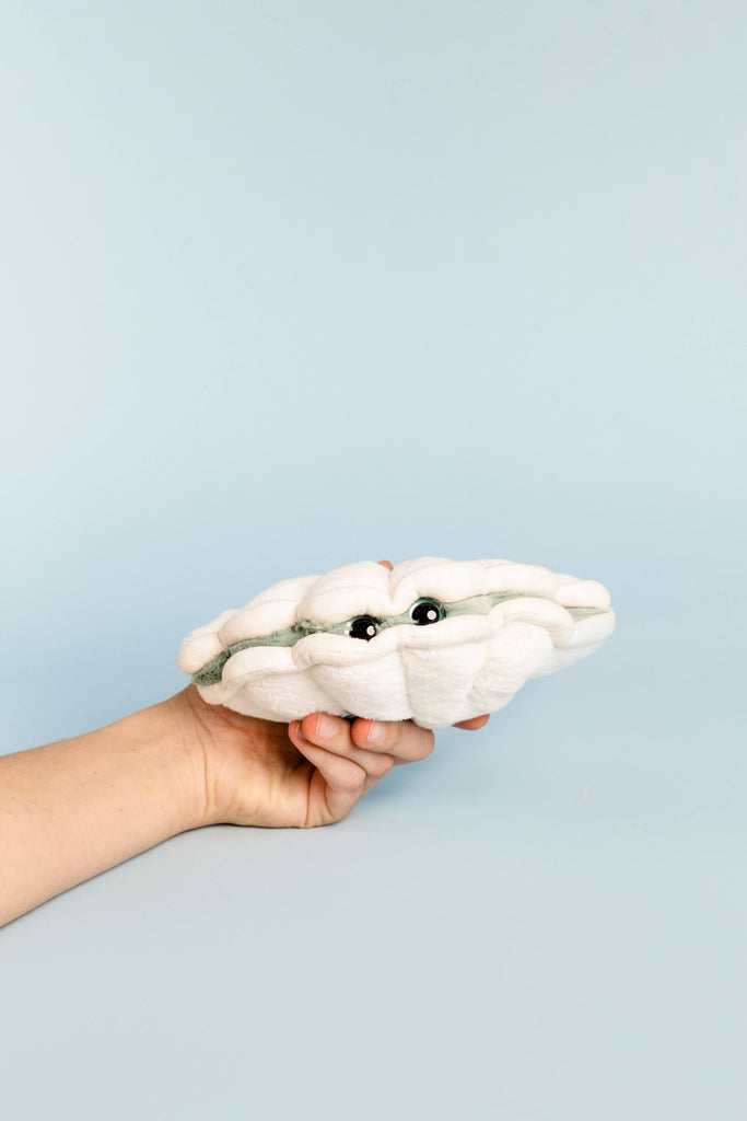 Chloe Clam Small - Blickenstaffs Toy Store