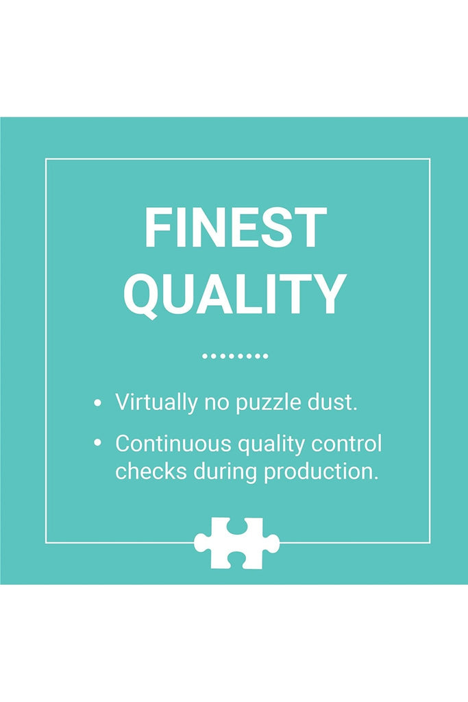 Classic Rewind 1000 Piece Jigsaw Puzzle - Blickenstaffs Toy Store