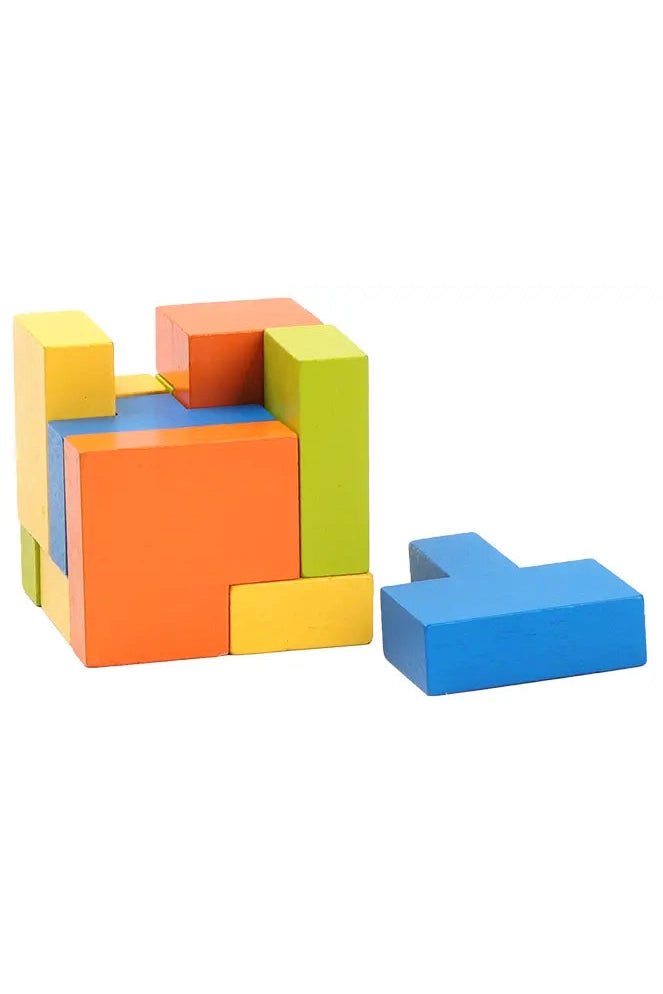 Color Wood Block Puzzles - Blickenstaffs Toy Store