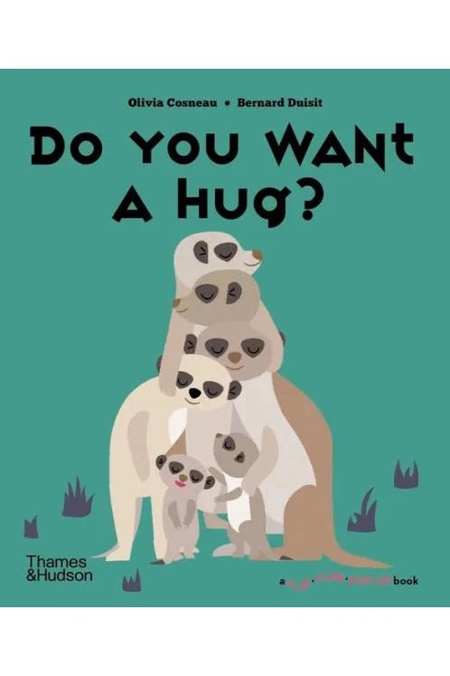 Do You Want A Hug? - Blickenstaffs Toy Store