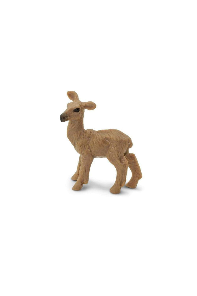 mini deer