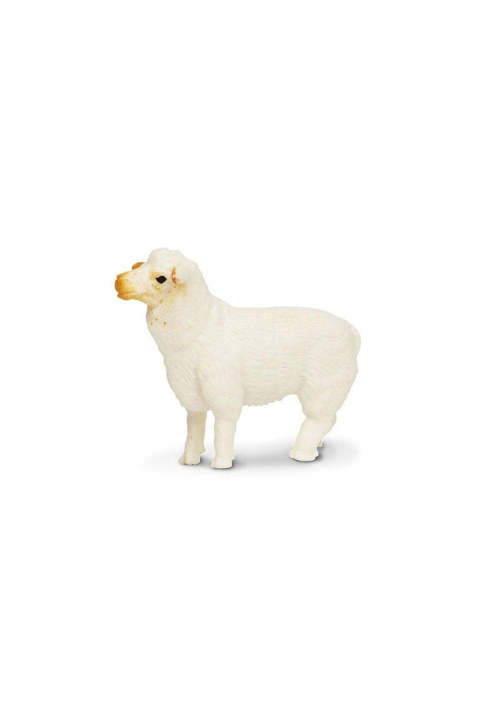 mini sheep