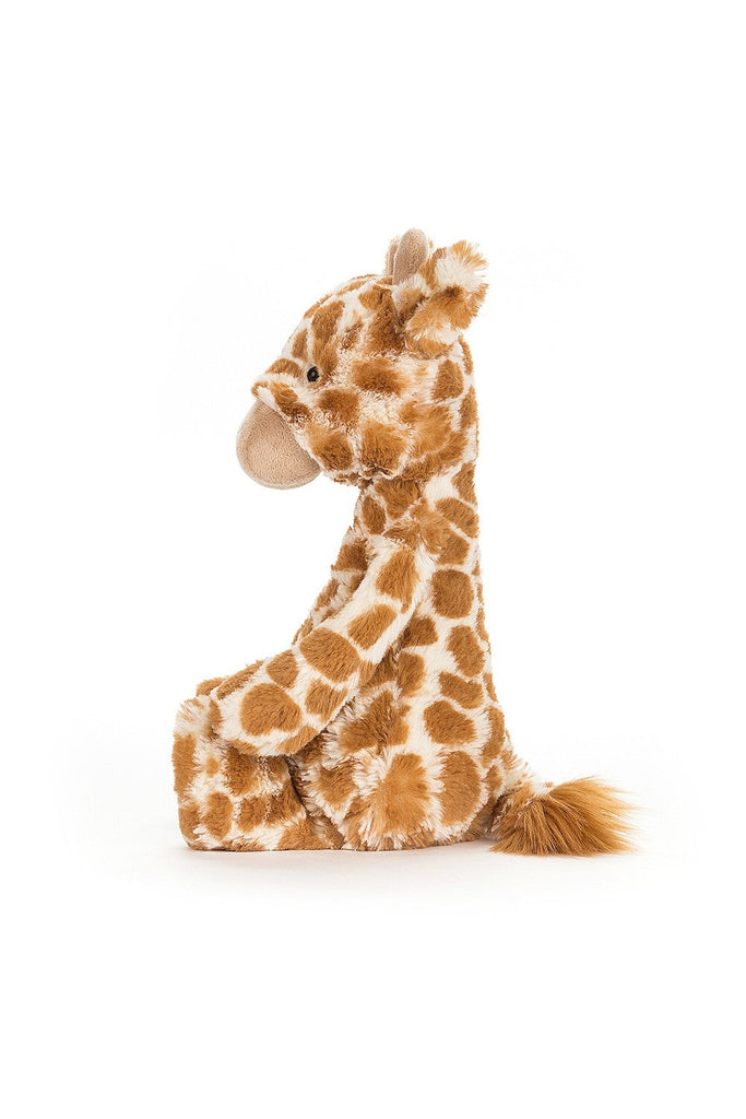 Bashful Giraffe