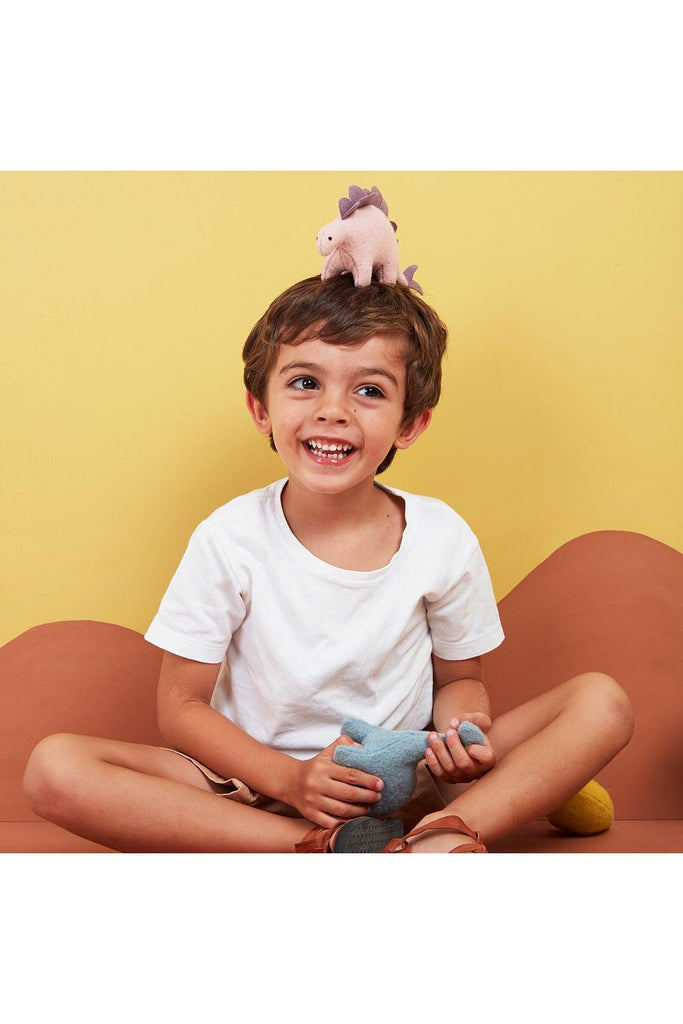 Holdie Folk Dinosaurs - Blickenstaffs Toy Store