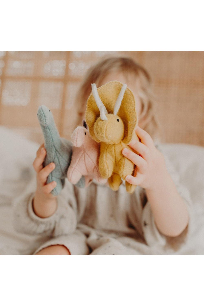 Holdie Folk Dinosaurs - Blickenstaffs Toy Store