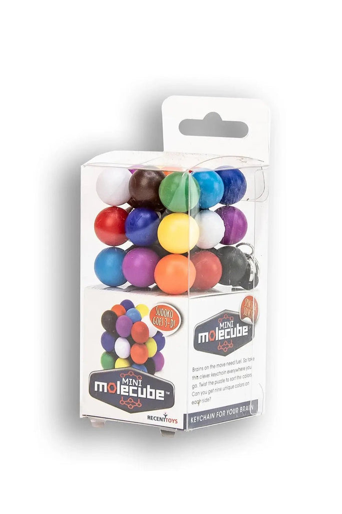 Keychain Twisty Puzzle - Blickenstaffs Toy Store