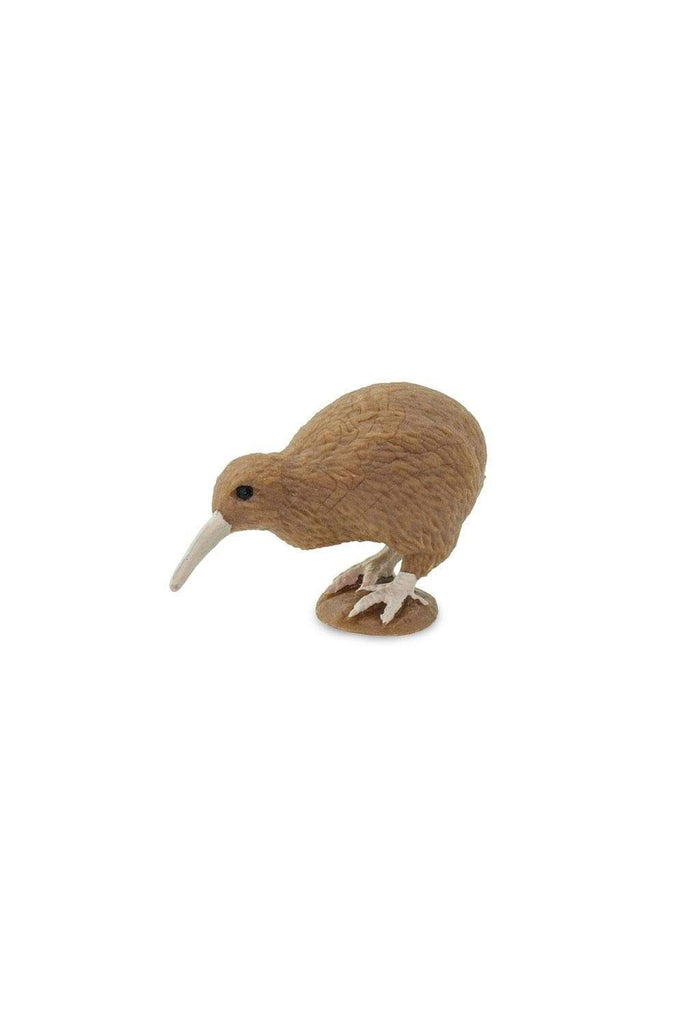 mini kiwi bird