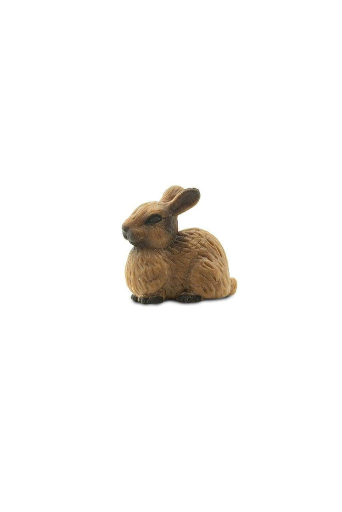 mini rabbit