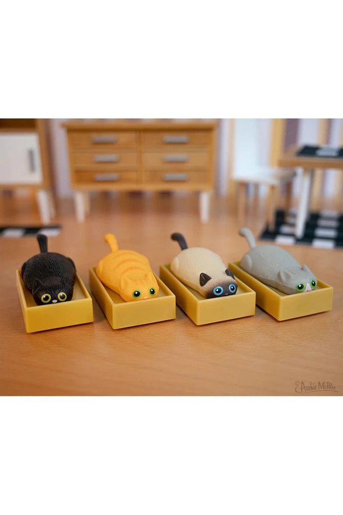 Racing Cats in Boxes - Blickenstaffs Toy Store