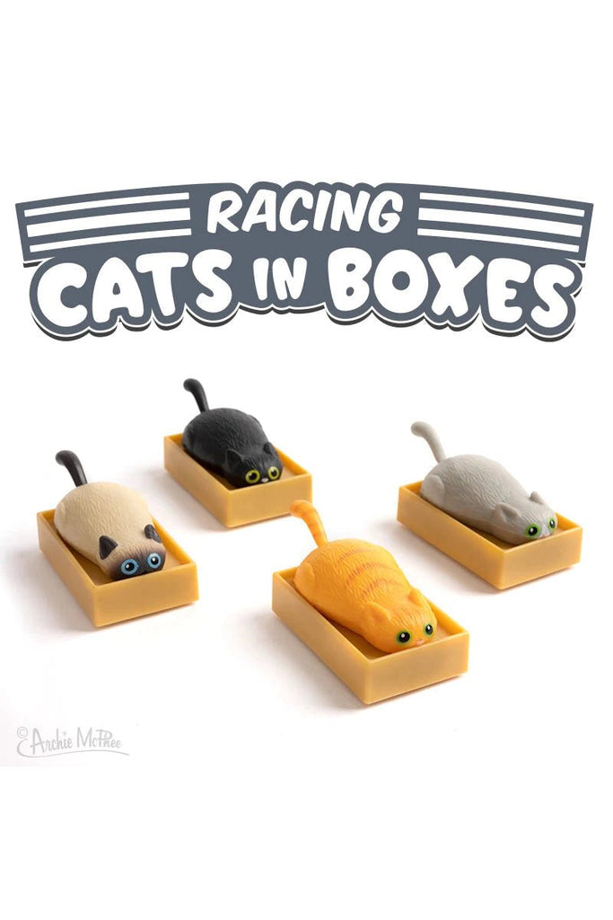 Racing Cats in Boxes - Blickenstaffs Toy Store