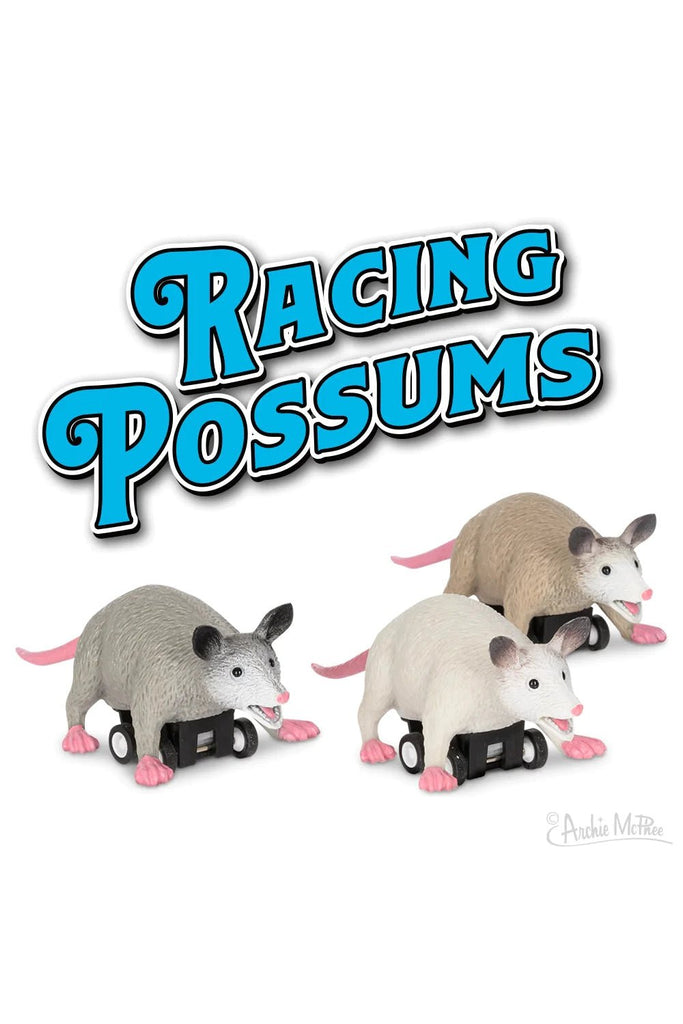 Racing Possums - Blickenstaffs Toy Store