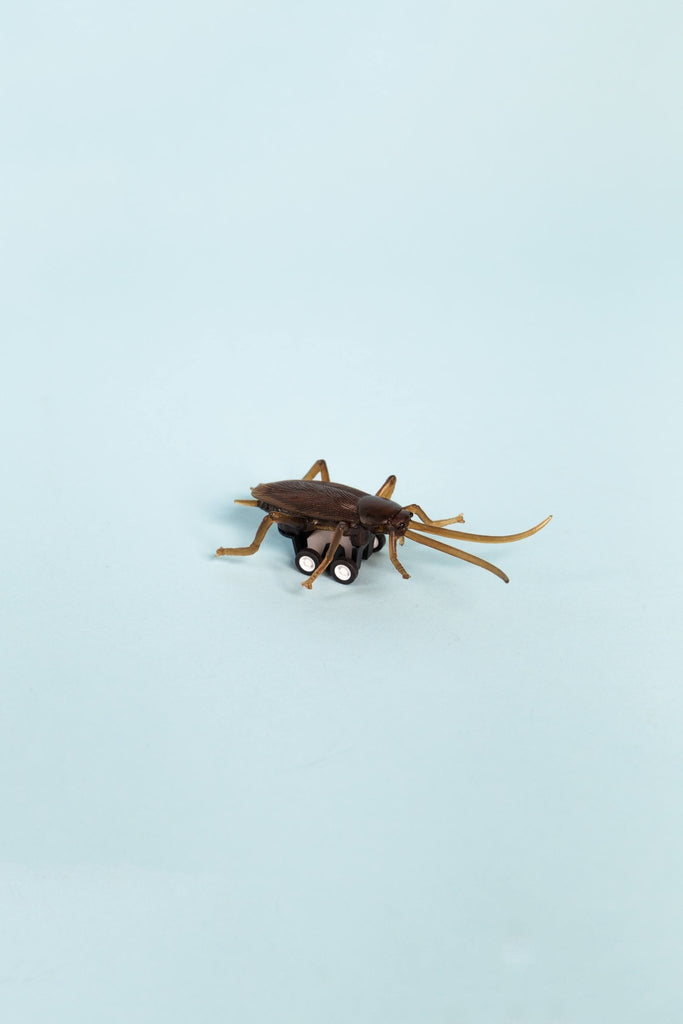 Racing Roache - Blickenstaffs Toy Store