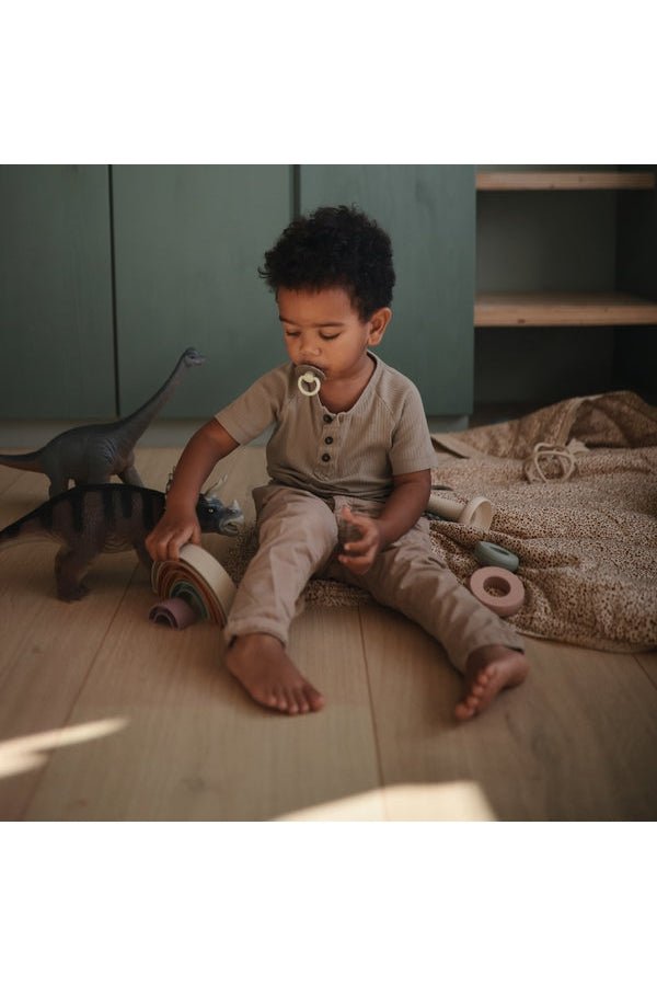 Rainbow Stacker Toy - Blickenstaffs Toy Store