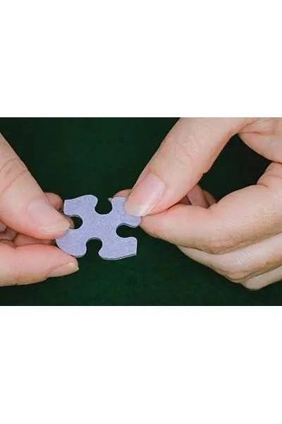 Readers Paradise Puzzle: 1000 Piece Jigsaw Puzzle - Blickenstaffs Toy Store