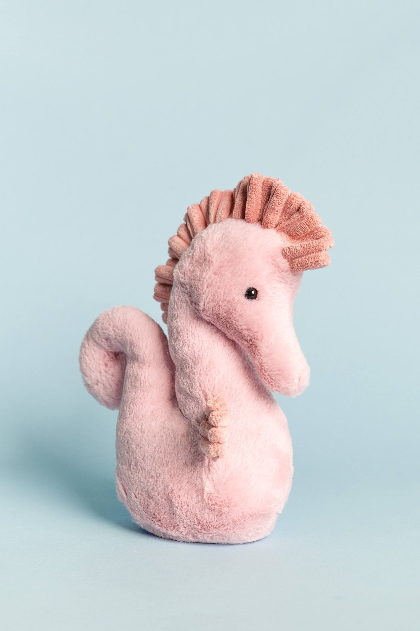 Small Sienna Seahorse タツノオトシゴ S Sienna Seahorse Small