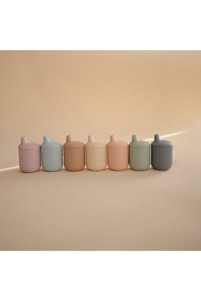 Silicone Sippy Cup - Blickenstaffs Toy Store